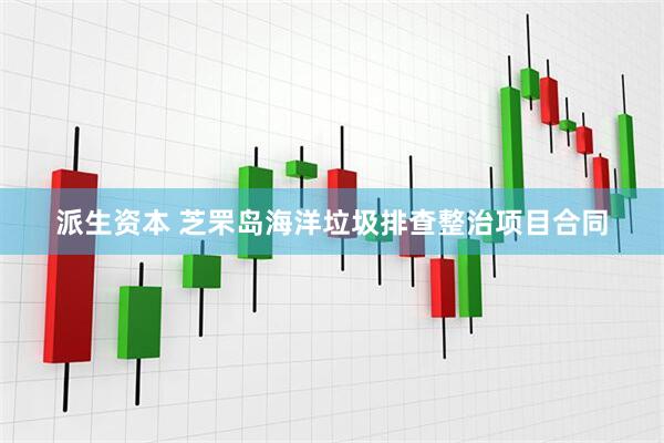 派生资本 芝罘岛海洋垃圾排查整治项目合同