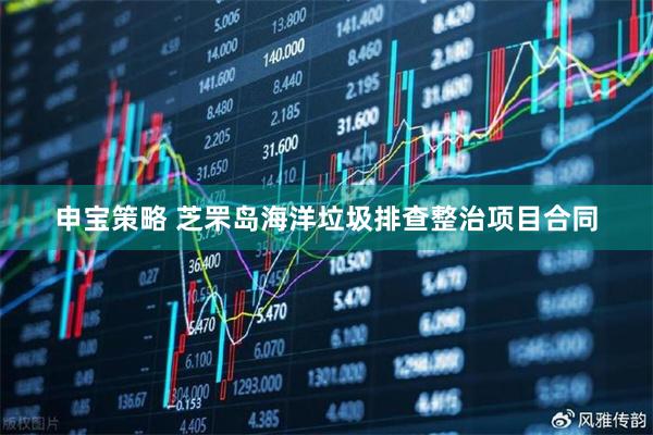申宝策略 芝罘岛海洋垃圾排查整治项目合同