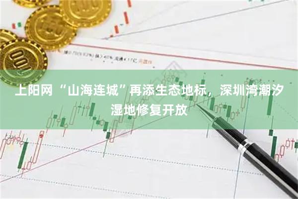 上阳网 “山海连城”再添生态地标，深圳湾潮汐湿地修复开放