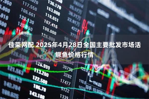 佳荣网配 2025年4月28日全国主要批发市场活鳜鱼价格行情