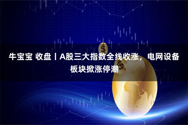 牛宝宝 收盘丨A股三大指数全线收涨，电网设备板块掀涨停潮